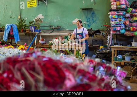 Eine lächelnde Frau organisiert Blumenarrangements in einem traditionellen Marktstand, umgeben von roten Rosen und Blumenzubehör. Stockfoto