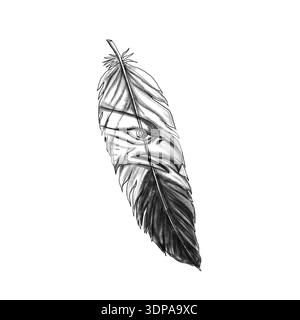 Tattoo-Stil Illustration einer Feder mit Seeadler, seahawk oder Adler Vogelkopf Design auf isoliertem Hintergrund Stockfoto