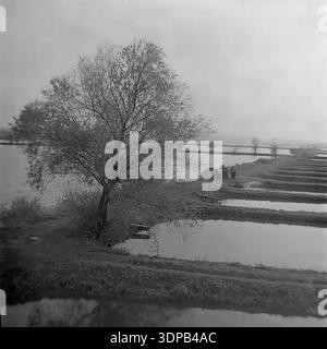 Bezirk Slawjansk, Region Donezk, Ukraine, UdSSR. Ende der 1960er - Anfang der 1970er Jahre Atmosphärische Landschaft des Fischzuchtbetriebs Donrybkombinat. Am Ufer eines künstlichen Teichs wächst ein großer Baum, der sich im dunklen Wasser spiegelt. Im Hintergrund fahren kollektive Landarbeiter mit einem Pferdewagen entlang des Erddamms, der die Stauseen trennt. Eine stimmungsvolle und malerische Aussicht auf die sowjetische Landschaft, die Natur und Aquakulturindustrie verbindet. Ein ruhiger Moment des ländlichen Lebens im friedlichen Donbass vor dem Krieg. Stockfoto