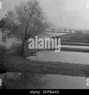 Bezirk Slawjansk, Region Donezk, Ukraine, UdSSR. Ende der 1960er - Anfang der 1970er Jahre Atmosphärische Landschaft des Fischzuchtbetriebs Donrybkombinat. Am Ufer eines künstlichen Teichs wächst ein großer Baum, der sich im dunklen Wasser spiegelt. Im Hintergrund fahren kollektive Landarbeiter mit einem Pferdewagen entlang des Erddamms, der die Stauseen trennt. Eine stimmungsvolle und malerische Aussicht auf die sowjetische Landschaft, die Natur und Aquakulturindustrie verbindet. Ein ruhiger Moment des ländlichen Lebens im friedlichen Donbass vor dem Krieg. Stockfoto