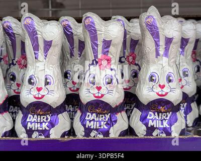 Cadbury Milchschokolade-Häschen in einem Supermarkt Stockfoto