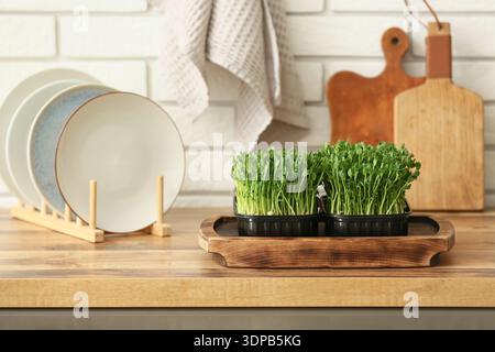 Plastikbehälter mit frischem Mikrogrün auf Holztisch in der Küche, Nahaufnahme Stockfoto