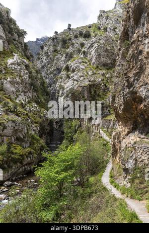 Herrliche Landschaft der Cares-Schlucht in den Picos de Europa-Bergen in Asturien, Nordspanien Stockfoto