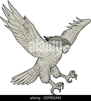 Zeichnung Skizze Stil Illustration einer Harpyie, in griechischen und römischen Mythologie, betrachtet ein weiblichen Vogel mit Gesicht einer Frau, die auf der Suche nach unten herab vom s Stockfoto