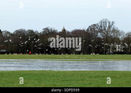 Erholungsfelder und Spielplätze im Phoenix Park, Dublin. Eine Status Yellow Regen-Schnee-Warnung gilt für Cavan, Donegal, Longford und alle fünf Countys in Connacht bis Mitternacht, da die Temperaturen über Nacht auf der Insel Irland abstürzten. Bilddatum: Samstag, 14. Februar 2026. Stockfoto