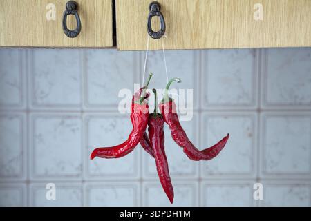 Rote, heiße Paprika hängen an einer Schnur an einem Küchenschrank Stockfoto