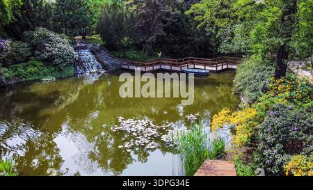 Fantastischer Blick aus der Luft auf den Teich, Wasserfall im botanischen Garten Stockfoto