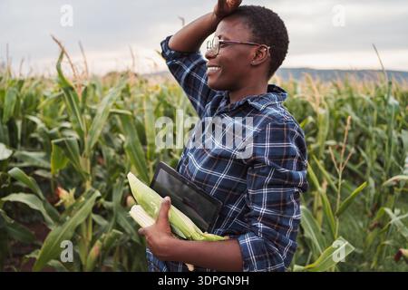 Afrikanischer Bauer hält Maiskolben und Tablette auf einem Maisfeld Stockfoto
