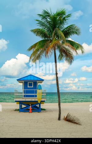 Vertikale Aufnahme eines blauen Rettungsschirmturms am Hollywood Beach mit einer Palme und Surfbrett unter einem bewölkten Himmel in Florida. Stockfoto