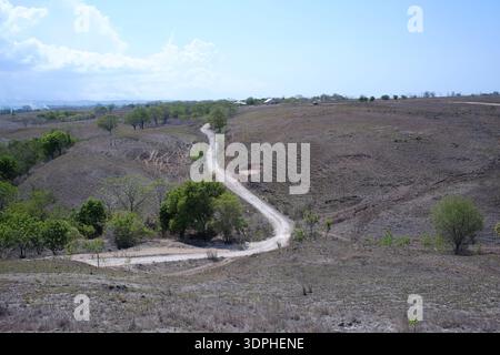 Eine staubige Feldstraße, die durch Trockenland im Südwesten Sumbas führt Stockfoto