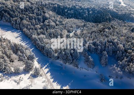 Blick aus einem hohen Winkel auf dichte immergrüne Bäume, die mit frischem weißem Schnee bedeckt sind Stockfoto