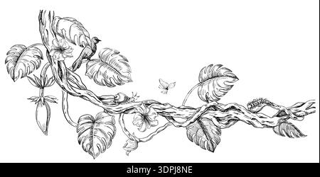 Eine gewundene Linie mit Monsterablättern, Bananenfrüchten, tropischen Blumen und Insekten. Eine realistische Vektorillustration tropischer Pflanzen für den Innenraum Stock Vektor