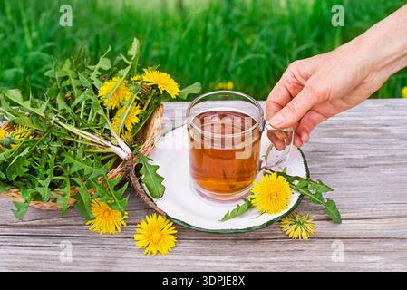 Weibliche Hände halten eine Tasse gesunden Löwenzahntee auf Holztisch im Garten zu Hause. Stockfoto