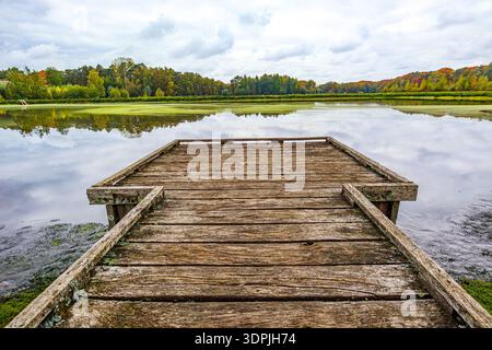 Holzdielen-Plattform am Rand des Teiches mit herbstlicher Landschaft im Hintergrund vor bewölktem Himmel, Reflexion auf der Wasseroberfläche, Herbsttag in de Wijers, Stockfoto