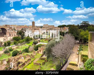 Panoramablick auf das Forum Romanum und das Kolosseum Stockfoto