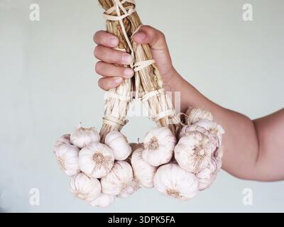 Ein Nahbild einer Hand, die ein Bündel Knoblauch hält, das zur Langzeitkonservierung gewebt wurde. Stockfoto