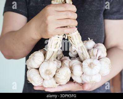 Ein Nahbild von Knoblauchstielen, die zur Langzeitkonservierung zusammengeflochten sind. Stockfoto