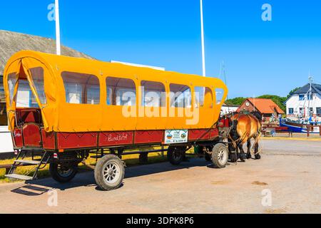 HAFEN VITTE, INSEL HIDDENSEE - 30. MAI 2018: Pferdekutsche zum Transport von Touristen im Hafen Vitte an sonnigen schönen Tagen. Es ist eine autofreie Insel in Stockfoto