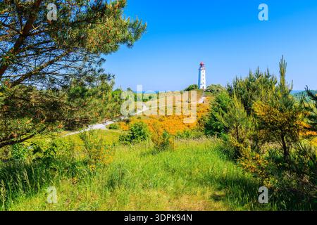 Leuchtturm Dornbusch in Frühlingslandschaft mit Blumen an der Nordküste der Insel Hiddensee, Ostsee, Deutschland Stockfoto