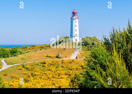Leuchtturm Dornbusch in Frühlingslandschaft mit Blumen an der Nordküste der Insel Hiddensee, Ostsee, Deutschland Stockfoto