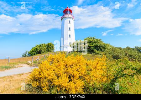 Dornbusch Leuchtturm in Frühlingslandschaft mit Blumen an der Nordküste der Insel Hiddensee, Ostsee, Deutschland Stockfoto