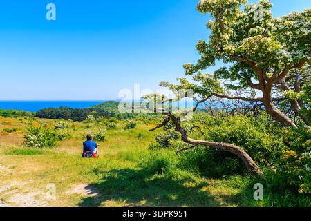 Nicht identifizierter Mensch Tourist ruht auf grüner Wiese im Baumschatten bei Leuchtturm Dornbusch in Frühlingslandschaft an der Küste der Insel Hiddensee, Ostsee, Stockfoto
