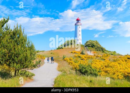 Weg zum Leuchtturm Dornbush in Frühlingslandschaft mit Blumen an der Nordküste der Insel Hiddensee, Ostsee, Deutschland Stockfoto