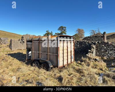 Ruinierte verlassene Farm mit Steinresten und bewachsenem Gras auf Glenearn Hill in Perthshire, Schottland. Stockfoto