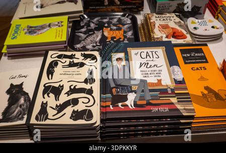 Souvenirladen und Café in der Hauptfiliale der New York Public Library in Midtown Manhattan, USA Stockfoto