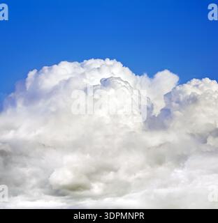 Eine kumuluswolke gegen einen klaren blauen Himmel. Stockfoto