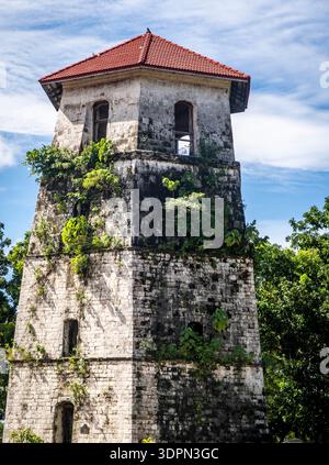 Alter Wachturm aus Stein mit rotem Ziegeldach, Weinstöcken und grünen Kletterwänden unter blauem Himmel; historische Festungsarchitektur in tropischer Umgebung. Stockfoto