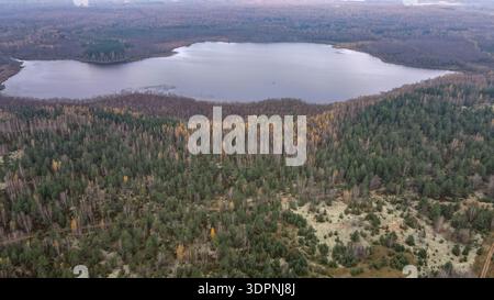 Die Luftaufnahme zeigt einen nahe kreisrunden See mit unregelmäßigem Ufer im Dretunski Trainingsgelände in Belarus. Gemischter Herbstwald und Sandlichtungen ap Stockfoto