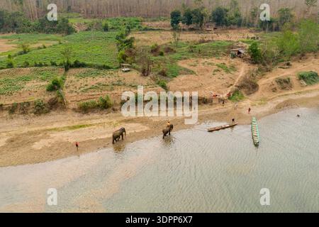 Elephant Village, Laos - 25. März 2020: Aus der Luft sehen wir zwei asiatische Elefanten mit Mahouts und mehrere Menschen, die auf einem Flussufer in der Nähe eines hölzernen Bootes stehen, mit Kulturfeldern und bewaldeten Hügeln im Hintergrund. Stockfoto