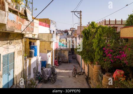 Jodhpur, Indien - 26. März 2022: Eine enge Wohnallee ist gesäumt von mehrstöckigen Gebäuden, Motorrädern, Topfpflanzen, Freileitungen und blühenden Büschen bei klarem Tageslicht. Stockfoto