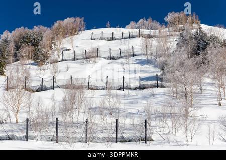 Winterszene mit Sicherheitsschneezäunen und reimbedeckten Bäumen unter blauem Himmel Stockfoto
