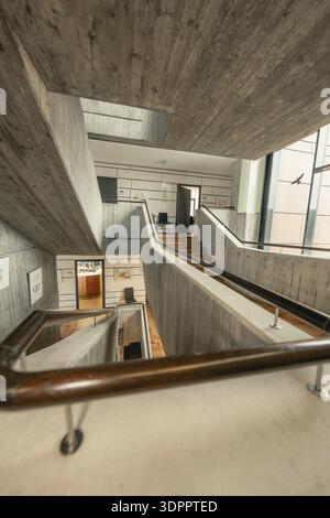 Modernes Treppenhaus mit Betonwänden und Holzdetails, offene Architektur, Innenansicht, Rathaus Gechingen, Stadtteil Calw, Deutschland Stockfoto