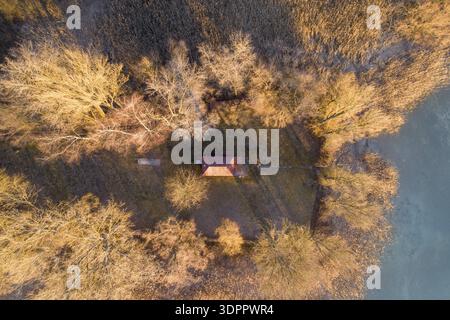 Drohnenaufnahme eines kleinen Hauses umgeben von dichtem Wald und Schilf, Hegne, Allensbach, Bodensee, Baden-Württemberg, Deutschland Stockfoto