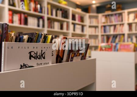 Unbekannter Ort - 12. Mai 2021: Eine Nahansicht zeigt Comicbücher und Graphic Novels, darunter „Rikiki“ von Philippe Geluck, die in einem weißen Abfalleimer mit weißen Bücherregalen mit Büchern im Hintergrund ausgestellt sind. Stockfoto