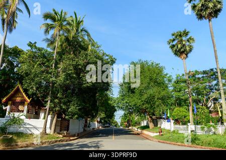 Luang Prabang, Laos - 30. Juni 2020: Eine ruhige Straße, gesäumt von hohen Palmen und dichtem Grün, mit einem traditionellen Tempelbau mit einem rot-goldenen Dach, das auf der linken Seite unter einem klaren blauen Himmel zu sehen ist. Stockfoto