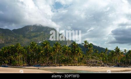 Ein tropischer Sandstrand mit flachem Küstenwasser, freiliegenden Felsen und einer Linie von Palmen, die von bewaldeten Hügeln umgeben sind. Stockfoto