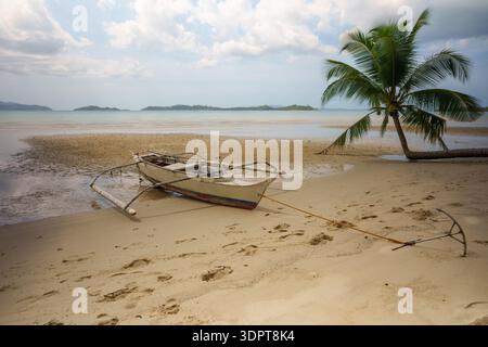 Ein kleines Auslegerboot ruht auf nassem Sand in der Nähe der Küste neben einer schiefen Palme und flachem Küstenwasser. Stockfoto