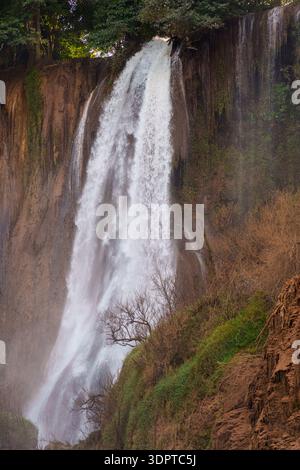 Ein hoher Wasserfall fällt in einem einzigen mächtigen Bach über eine steile Felsklippe, umgeben von dichter Waldvegetation. Stockfoto