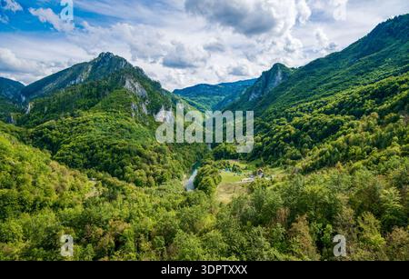 Luftaufnahme des Tara River Canyon in Montenegro. Üppige grüne Wälder umgeben den sich windenden Fluss mit steilen Bergen im Hintergrund Stockfoto
