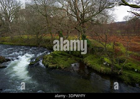 Der Fluss Ogwen entspringt im Lake Ogwen in Snowdonia, wird aber hier in seinem Unterlauf bei Bethesda gesehen. Stockfoto