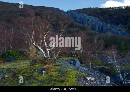 Der Schiefer-Steinbruch von Vivian ist Teil der Steinbrüche von Dinorwic in der Nähe von Llanberis in Snowdonia. Es wurde von 1787 bis 1960 gearbeitet. Es wurde zu einer tiefen Lagune. Stockfoto