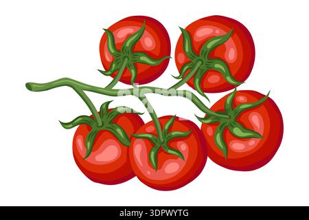 Tomate Cherry Branch Vektor Illustration von oben für Natur Design. Rote und grüne Pflanze im Doodle-Stil mit botanischem Look. Ideal für italienische Menüs und Restaurantvorlagen oder Bio-Agrargrafiken. Stock Vektor
