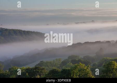 Neblige Hügel und Wälder bei Sonnenaufgang in Pembrokeshire, Wales, mit niedrigen Wolken, die durch die Täler treiben. Stockfoto