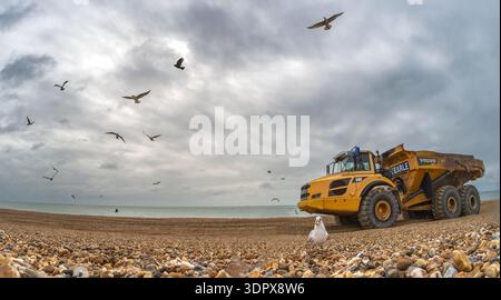 Schwere Müllkipper verteilen Schindeln am Strand von Hayling Island um, um das Hochwasserrisiko zu verringern, da Möwen während der Küstenschutzarbeiten in Hampshire umkreisen Stockfoto