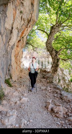 Ein Wanderer genießt die malerische Schönheit der Ruta del Cares in Asturien, Spanien, und spaziert durch einen felsigen Pfad, der von üppigen grünen Bäumen beschattet wird, perfekt für die Natur Stockfoto