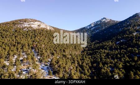 Luftaufnahme des schneebedeckten Kiefernwaldes in Valle de la Fuenfria, Sierra de Guadarrama, Spanien. Winterberglandschaft entlang der Route nach Ducha de lo Stockfoto